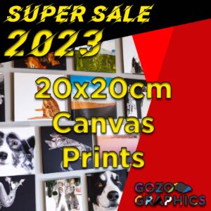 20x20cm Canvas Print