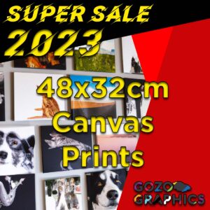 48x32cm Canvas Print