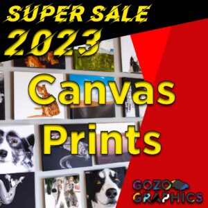 Canvas Sale