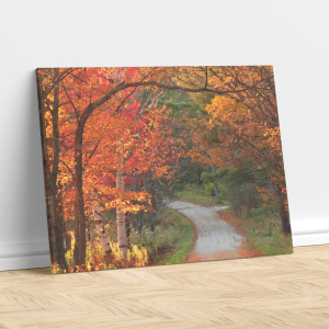 The Winding Road of Autumn