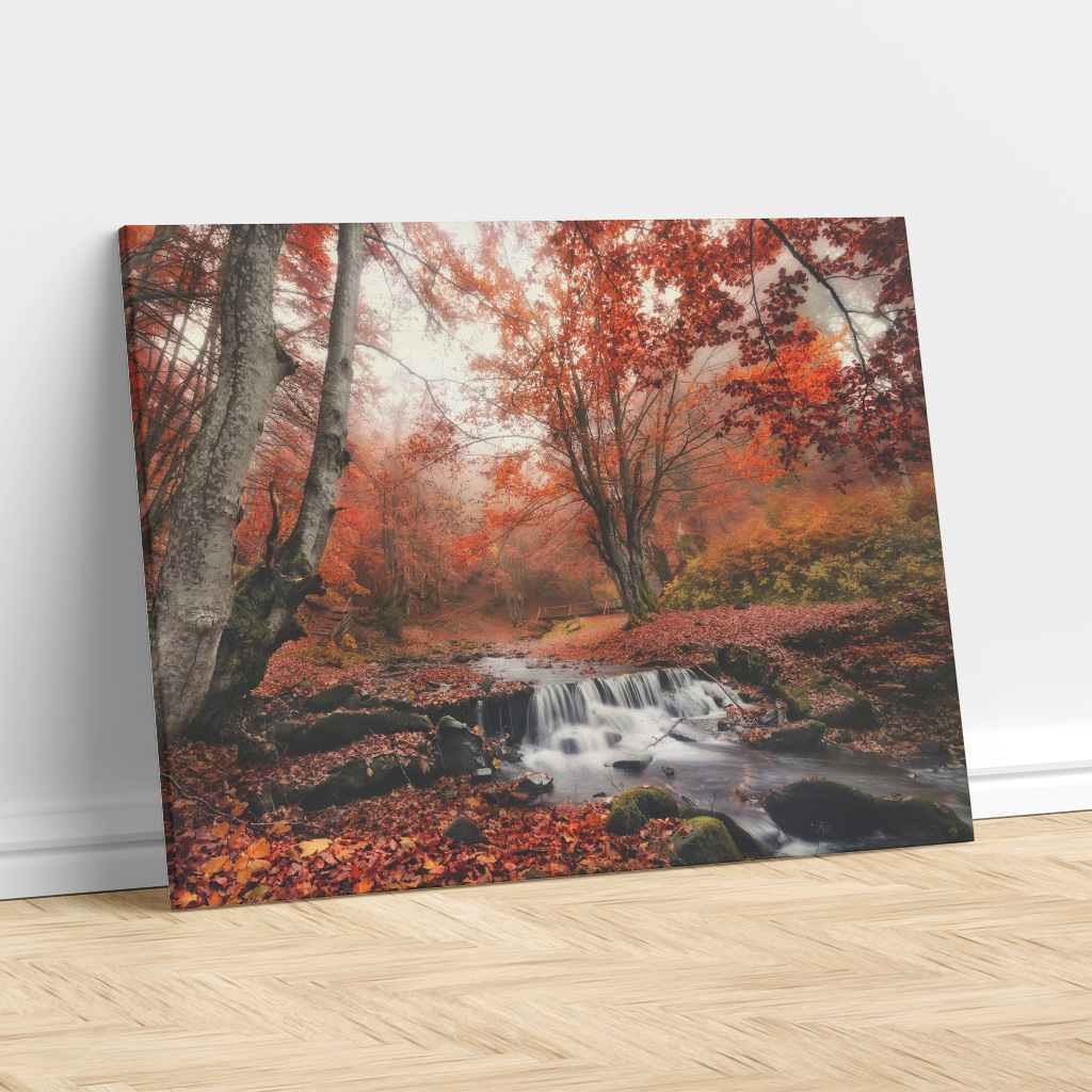 Autumn Forest Stream