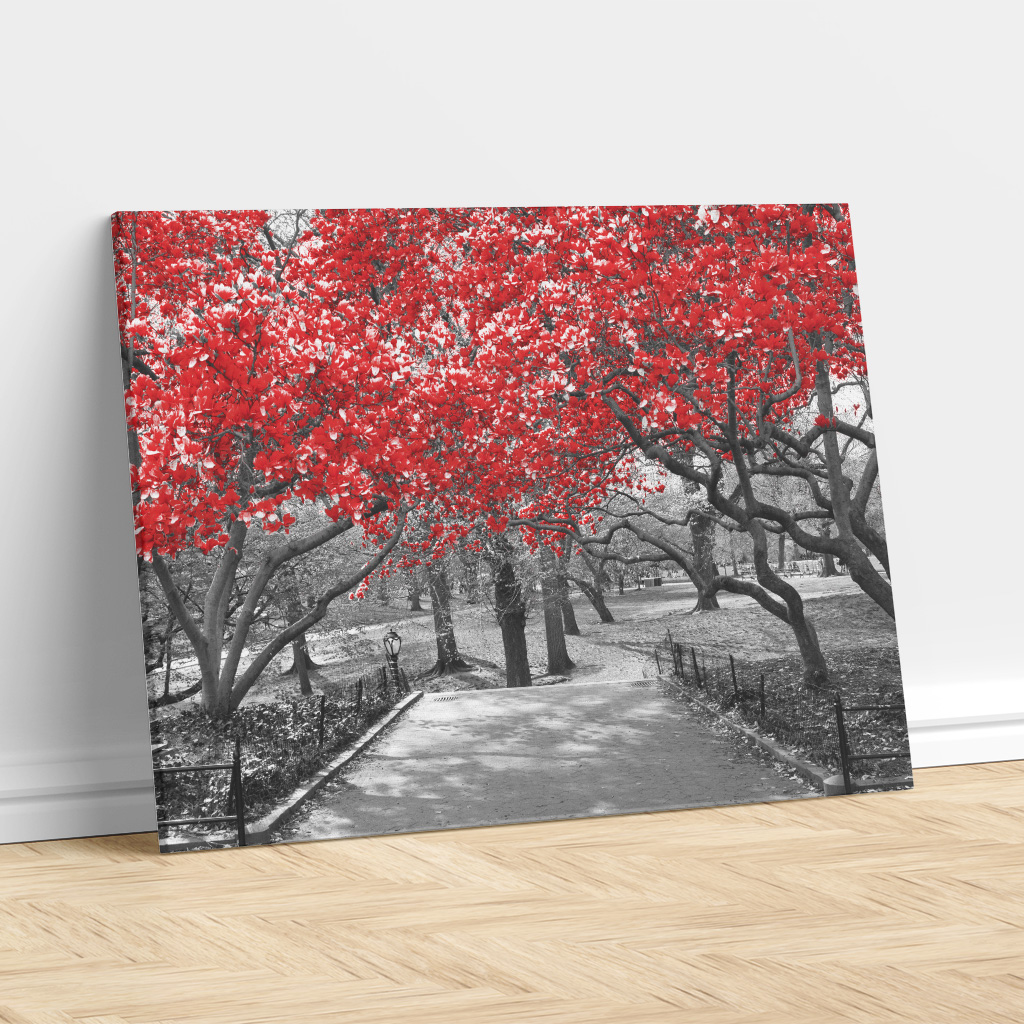 Crimson Canopy – Central Park, New York City, USA