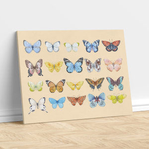 Butterfly Collection – Painting Print